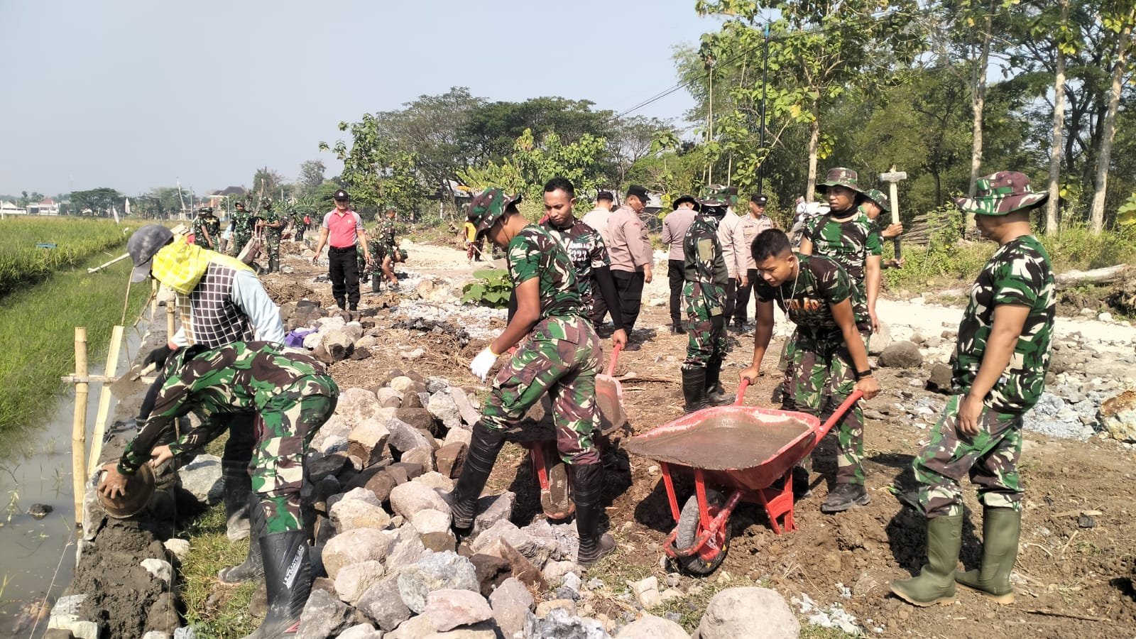gambar-411