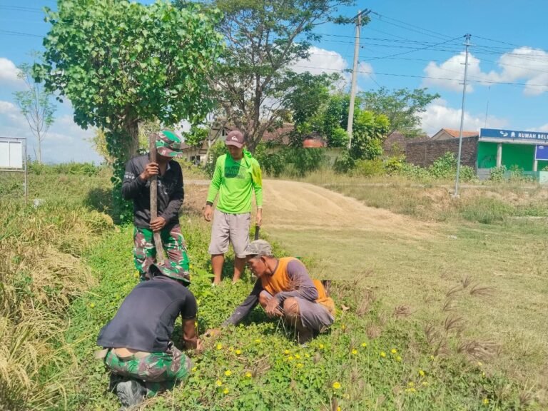 gambar-465