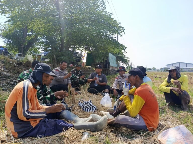 gambar-812