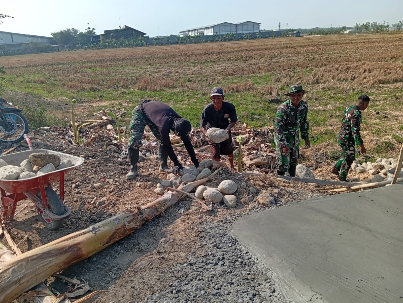 gambar-1008