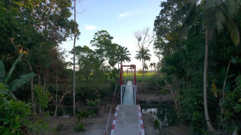 gambar-1053