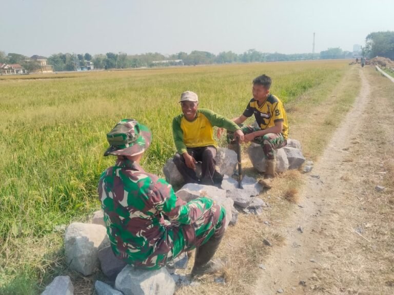 gambar-243