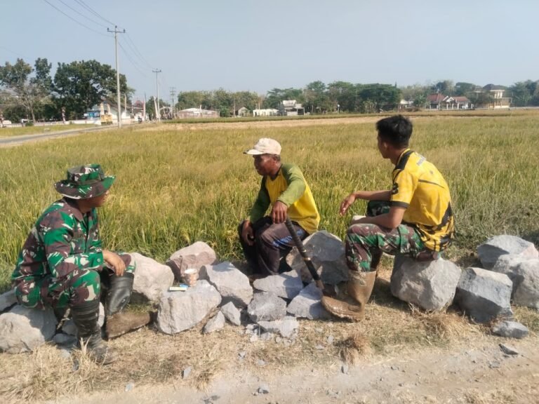 gambar-244