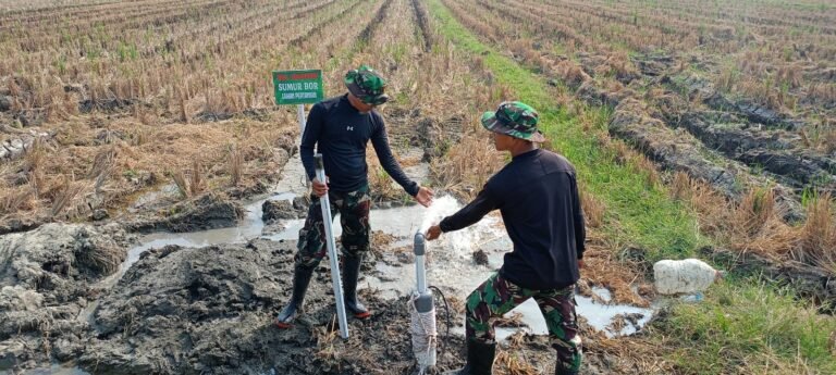 gambar-319