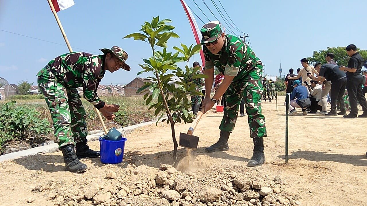 gambar-684