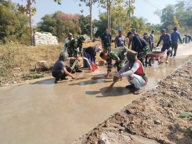 gambar-905